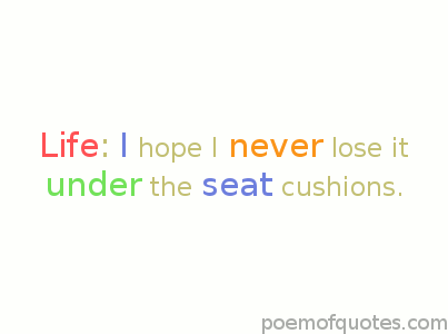 Life: I hope I never lose it under the seat cushions.