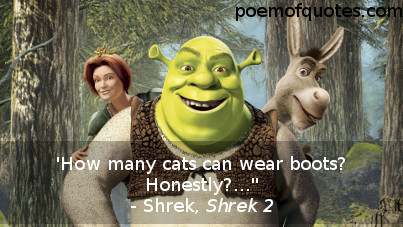 A quote from Shrek 2.