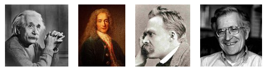 Albert Einstein, Voltaire, Nietzsche, and Noam Chomsky